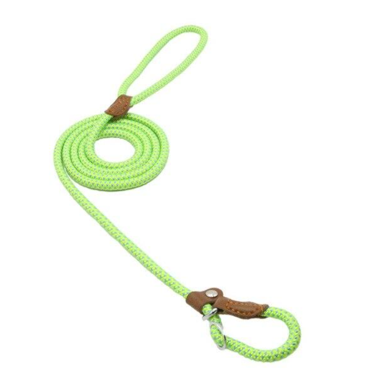 Complete Nylon Dog Training Set — Collar, Leash & Harness