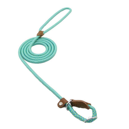 Complete Nylon Dog Training Set — Collar, Leash & Harness