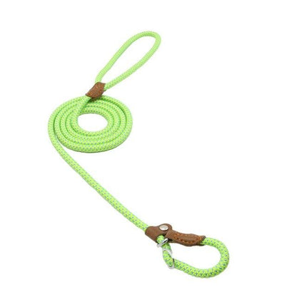 Complete Nylon Dog Training Set — Collar, Leash & Harness