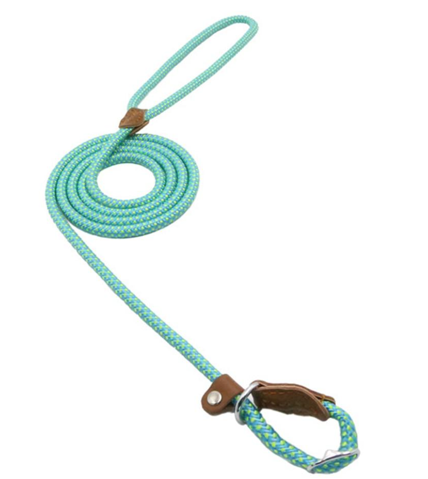 Complete Nylon Dog Training Set — Collar, Leash & Harness
