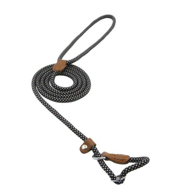 Complete Nylon Dog Training Set — Collar, Leash & Harness