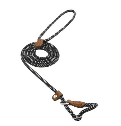 Complete Nylon Dog Training Set — Collar, Leash & Harness