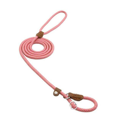 Complete Nylon Dog Training Set — Collar, Leash & Harness