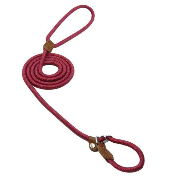 Complete Nylon Dog Training Set — Collar, Leash & Harness