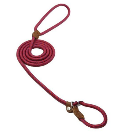 Complete Nylon Dog Training Set — Collar, Leash & Harness