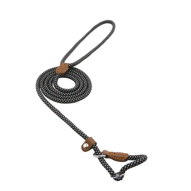 Complete Nylon Dog Training Set — Collar, Leash & Harness