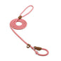 Complete Nylon Dog Training Set — Collar, Leash & Harness
