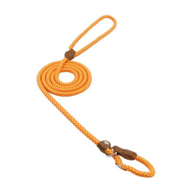 Complete Nylon Dog Training Set — Collar, Leash & Harness