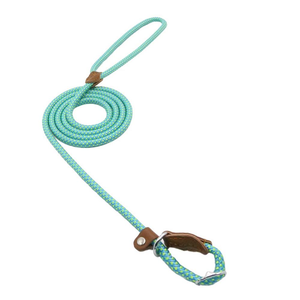 Complete Nylon Dog Training Set — Collar, Leash & Harness