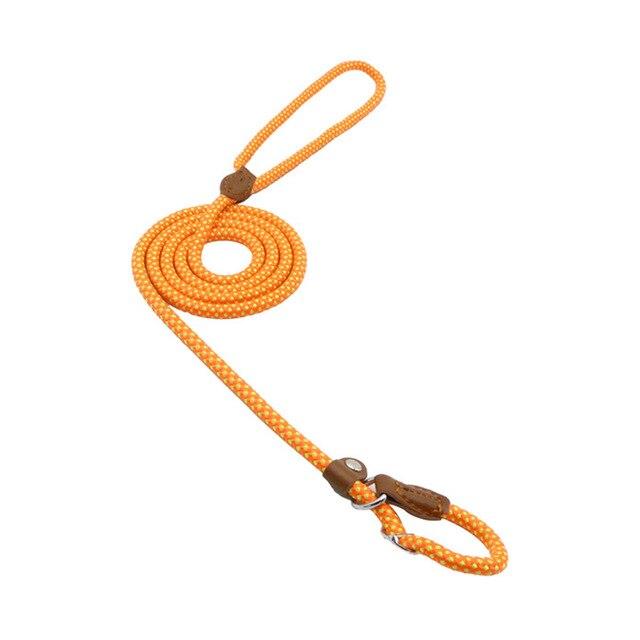 Complete Nylon Dog Training Set — Collar, Leash & Harness