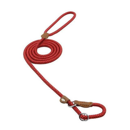 Complete Nylon Dog Training Set — Collar, Leash & Harness